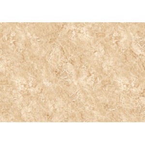 Gạch lát sàn Trường Thịnh TT96010